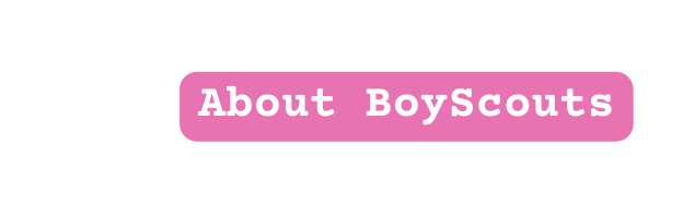 About BoyScouts