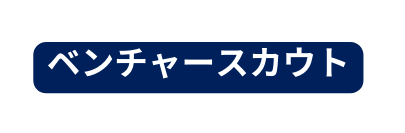 ベンチャースカウト
