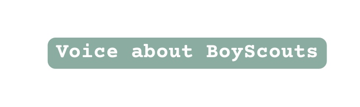 Voice about BoyScouts